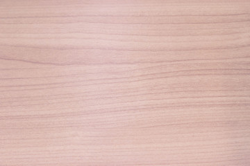 background of wood texture