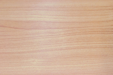 background of wood texture