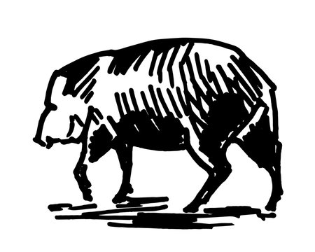 Vector illustration of a pig