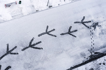 Giant bird tracks, foot prints and a human figure on the snow