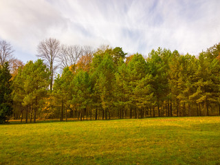 Autumn landscape.