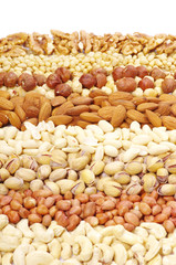 nuts collection