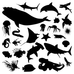 Naklejka premium Whale Shark Jellyfish Fish Ocean Underwater Fauna Silhouette