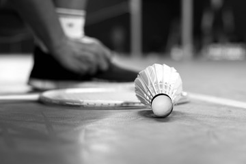 Shuttlecocks with badminton racket and man doing lace as blackgr