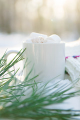 Cup of coffee with marshmallow in snow