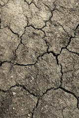 Soil texture and dry mud or Ground in drought.