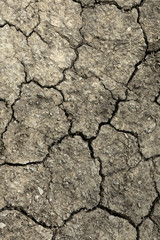 Soil texture and dry mud or Ground in drought.