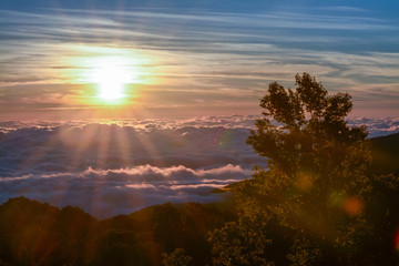 Sunrise with fog and cloud at Kew Mae Pan ,Doi Inthanon National Park, Thailand.