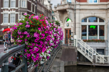 Fototapeta na wymiar Flowers on the bridge in Amsterdam