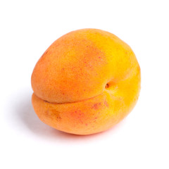 Big ripe apricot
