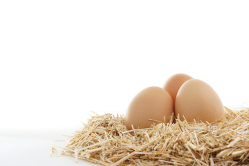 Brown eggs in a farm straw