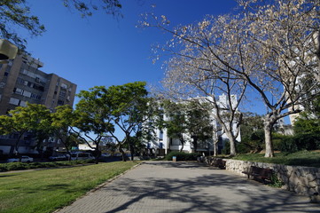 Photos of the Israeli city Ashdod in spring on a sunny day