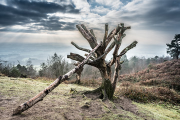 Leith Hill