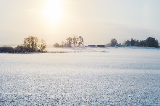Winter landscape in morning