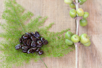 Fresh coffee beans on wood