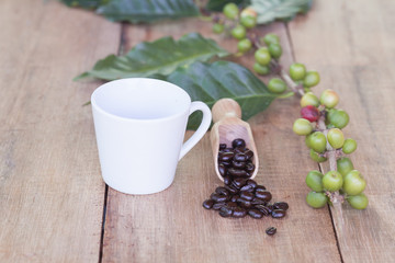 Fresh coffee beans on wood and coffee cup