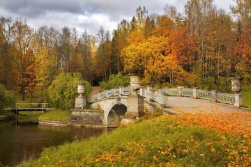 Obraz premium autumn landscape in Pavlovsk park, Saint Petersburg