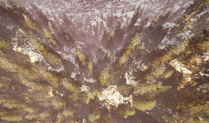 aerial view of a north american forest at fall 3d rendering