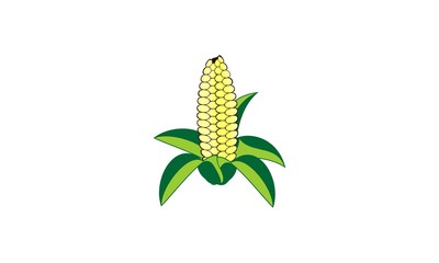 corn vegetable isolated icon vector illustration design
