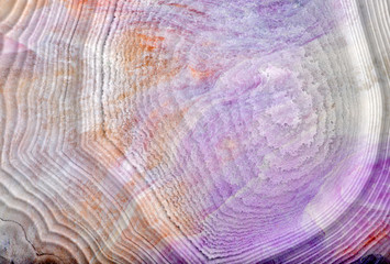 lilac stone texture closeup