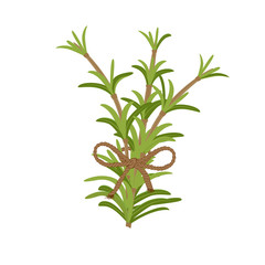 Fototapeta premium Branch of rosemary