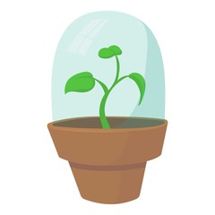 Greenhouse icon. Cartoon illustration of greenhouse vector icon for web design
