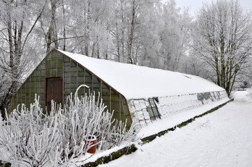 greenhouse in Belgium in winter with snow