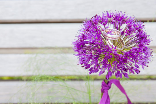 Zierlauch lila Blume Ringe Hochzeit 