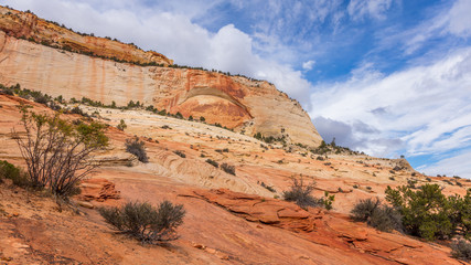 Fototapeta na wymiar Breathtaking view of the orange cliffs. Amazing mountain landscape. Zion National Park, Utah, USA