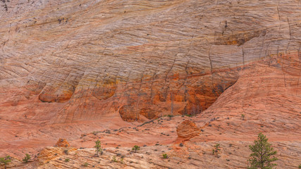 Naklejka premium Breathtaking view of the orange cliffs. Amazing mountain landscape. Zion National Park, Utah, USA