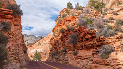 View on Zion-Mount Carmel Highway in Zion National Park, Utah, USA