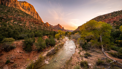 The rays of the sun illuminate red cliffs and river. Park at sunset. A beautiful pink sky. Zion...