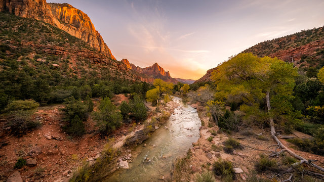 The rays of the sun illuminate red cliffs and river. Park at sunset. A beautiful pink sky. Zion National Park, Utah, USA