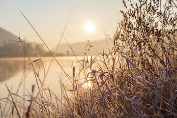 Obraz premium Sonnenaufgang im Winter an der Elbe