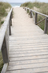 Obraz premium El Palmar Beach, Cadiz, Spain