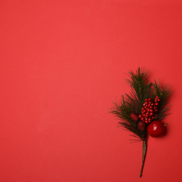 Decorative Christmas branck on red background with huge blank ar