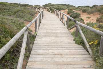 Obraz premium Footpath to Conil and Roche Coves; Cadiz