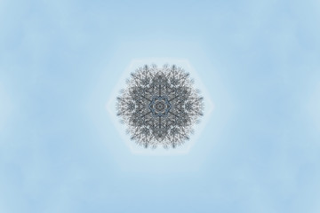kaleidoscope snowflake mirrored winter landscape