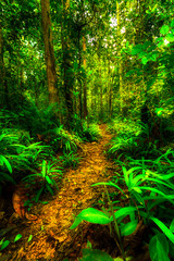 nature as are plant on the montains 