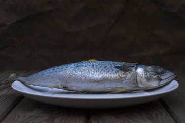 Mackerel on a Plate