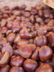 chestnuts