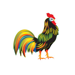 bright colorful rooster isolated on white background element for design abstract art creative modern vector