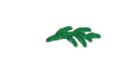 Christmas tree branch isolated on white background vector design element