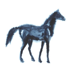 Hand painting wet watercolor foal horse on white background. Hand drawing equine silhouette illustration.