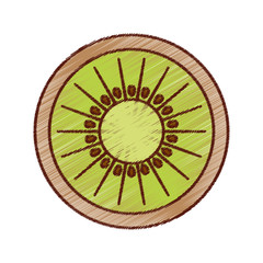 kiwi fresh fruit isolated icon vector illustration design
