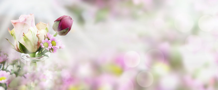 Rose in front of a spring background