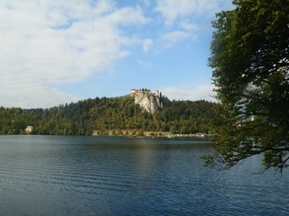 Bled castle