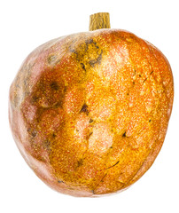  coeur de boeuf, annonça reticulata, fruit exotique