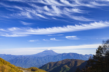 Fototapeta na wymiar 丸山林道から見る富士山