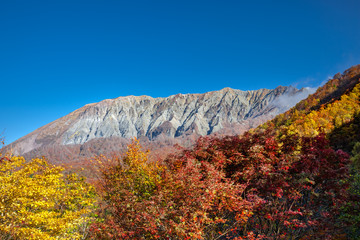 秋の大山